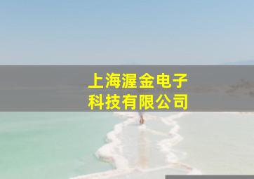 上海渥金电子科技有限公司