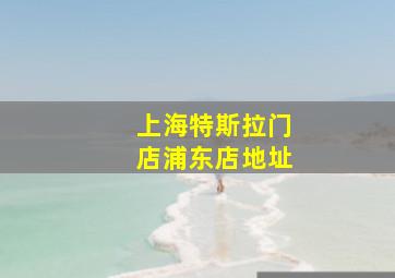 上海特斯拉门店浦东店地址