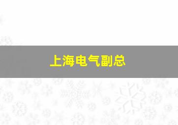 上海电气副总