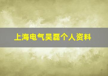 上海电气吴磊个人资料