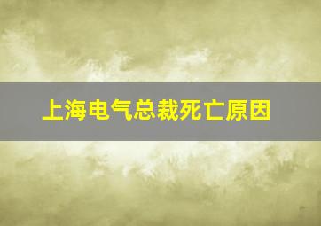 上海电气总裁死亡原因