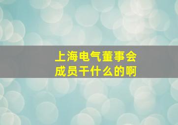 上海电气董事会成员干什么的啊