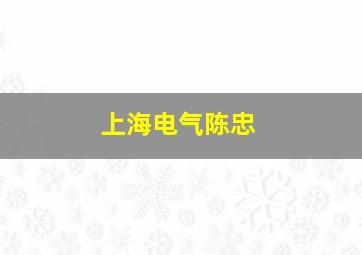 上海电气陈忠