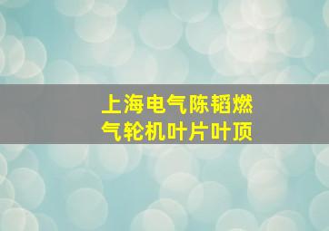 上海电气陈韬燃气轮机叶片叶顶