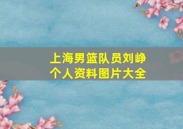 上海男篮队员刘峥个人资料图片大全