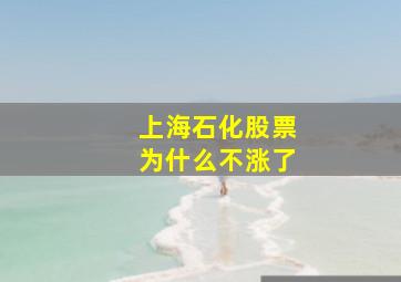 上海石化股票为什么不涨了