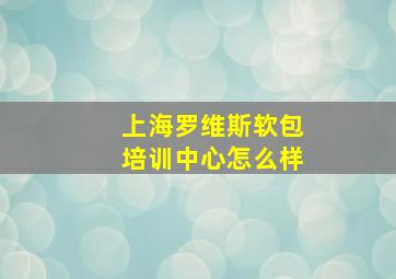 上海罗维斯软包培训中心怎么样