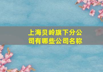 上海贝岭旗下分公司有哪些公司名称