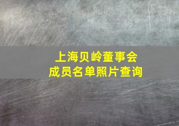 上海贝岭董事会成员名单照片查询