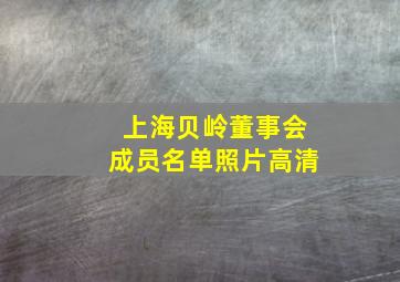 上海贝岭董事会成员名单照片高清