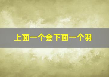 上面一个金下面一个羽