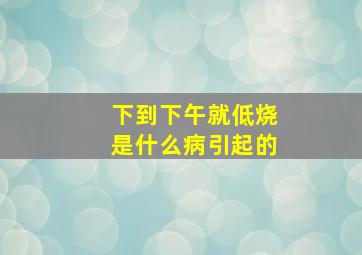 下到下午就低烧是什么病引起的