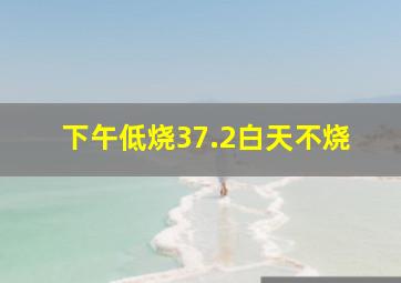 下午低烧37.2白天不烧