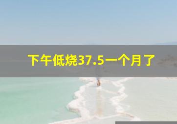 下午低烧37.5一个月了