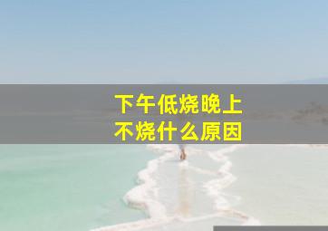 下午低烧晚上不烧什么原因