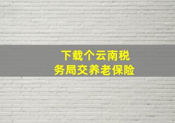 下载个云南税务局交养老保险