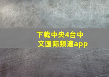 下载中央4台中文国际频道app