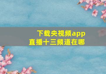 下载央视频app直播十三频道在哪