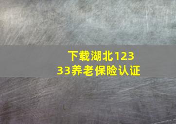 下载湖北12333养老保险认证