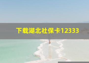 下载湖北社保卡12333