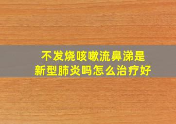 不发烧咳嗽流鼻涕是新型肺炎吗怎么治疗好