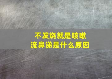 不发烧就是咳嗽流鼻涕是什么原因