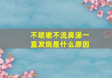 不咳嗽不流鼻涕一直发烧是什么原因