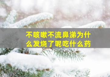 不咳嗽不流鼻涕为什么发烧了呢吃什么药