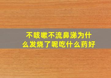 不咳嗽不流鼻涕为什么发烧了呢吃什么药好