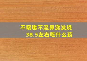 不咳嗽不流鼻涕发烧38.5左右吃什么药