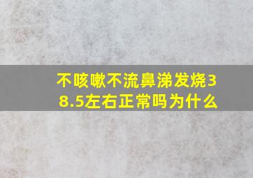 不咳嗽不流鼻涕发烧38.5左右正常吗为什么