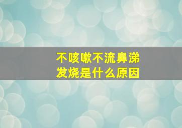 不咳嗽不流鼻涕发烧是什么原因