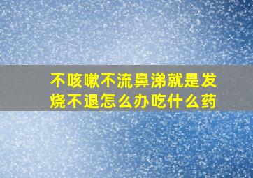 不咳嗽不流鼻涕就是发烧不退怎么办吃什么药