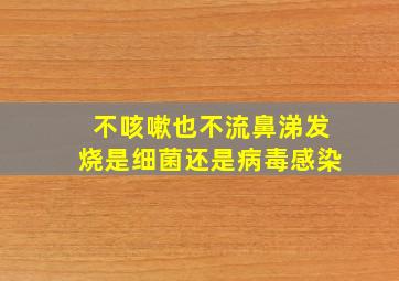 不咳嗽也不流鼻涕发烧是细菌还是病毒感染