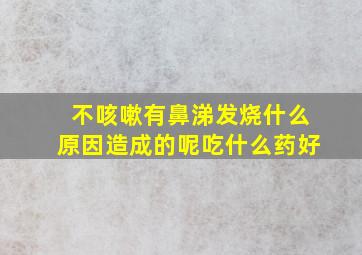 不咳嗽有鼻涕发烧什么原因造成的呢吃什么药好