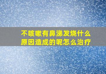 不咳嗽有鼻涕发烧什么原因造成的呢怎么治疗