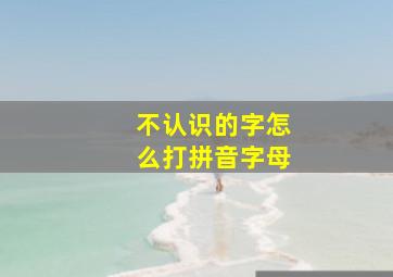 不认识的字怎么打拼音字母