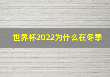 世界杯2022为什么在冬季