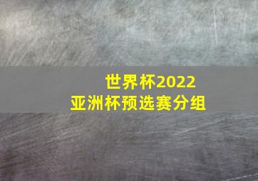 世界杯2022亚洲杯预选赛分组