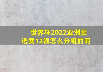 世界杯2022亚洲预选赛12强怎么分组的呢