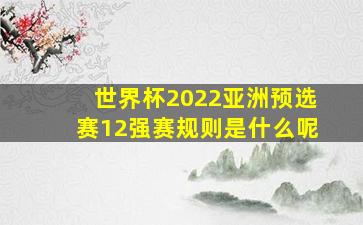 世界杯2022亚洲预选赛12强赛规则是什么呢