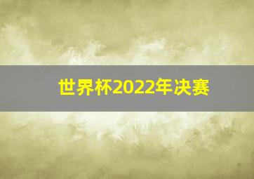 世界杯2022年决赛