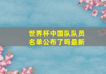 世界杯中国队队员名单公布了吗最新