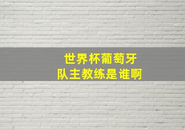 世界杯葡萄牙队主教练是谁啊