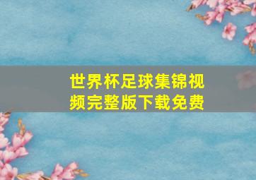 世界杯足球集锦视频完整版下载免费