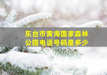 东台市黄海国家森林公园电话号码是多少