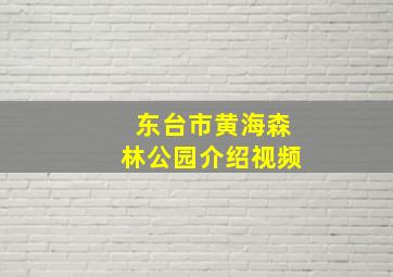 东台市黄海森林公园介绍视频