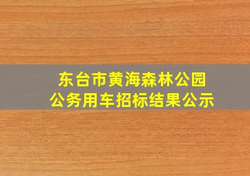 东台市黄海森林公园公务用车招标结果公示