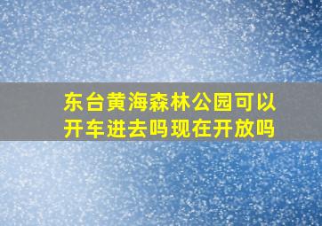 东台黄海森林公园可以开车进去吗现在开放吗