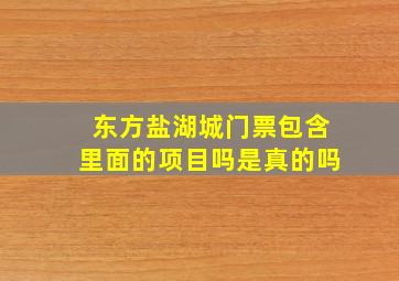 东方盐湖城门票包含里面的项目吗是真的吗